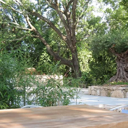 Le Castellas Du Pic St Loup Saint-Mathieu-de-Tréviers