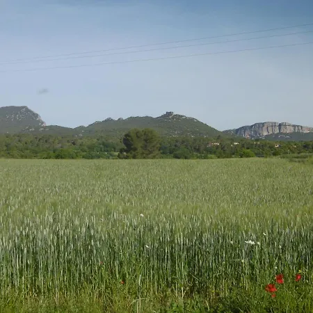 Le Castellas Du Pic St Loup *