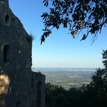 Le Castellas Du Pic St Loup Saint-Mathieu-de-Tréviers