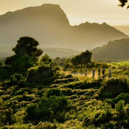Le Castellas Du Pic St Loup Bed & Breakfast *