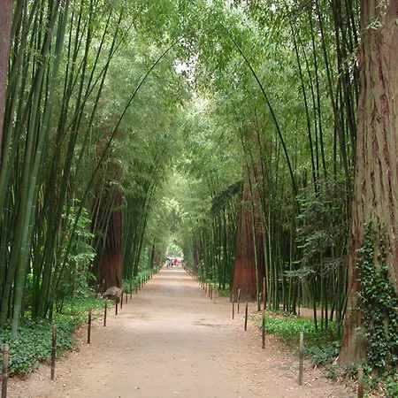 Le Castellas Du Pic St Loup 3*