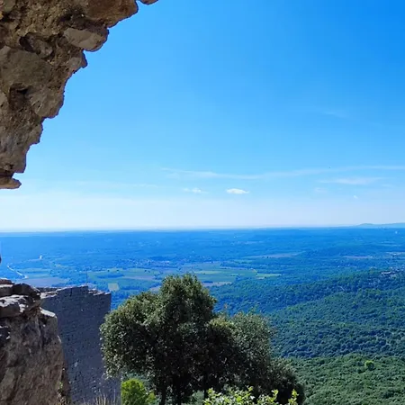 Le Castellas Du Pic St Loup Saint-Mathieu-de-Tréviers