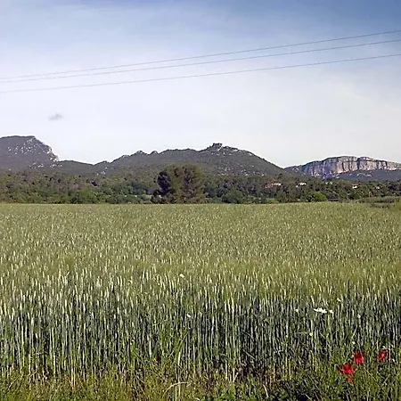 Le Castellas Du Pic St Loup Saint-Mathieu-de-Tréviers