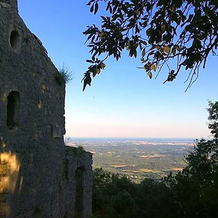 Le Castellas Du Pic St Loup Saint-Mathieu-de-Tréviers