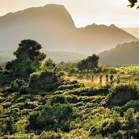 Le Castellas Du Pic St Loup